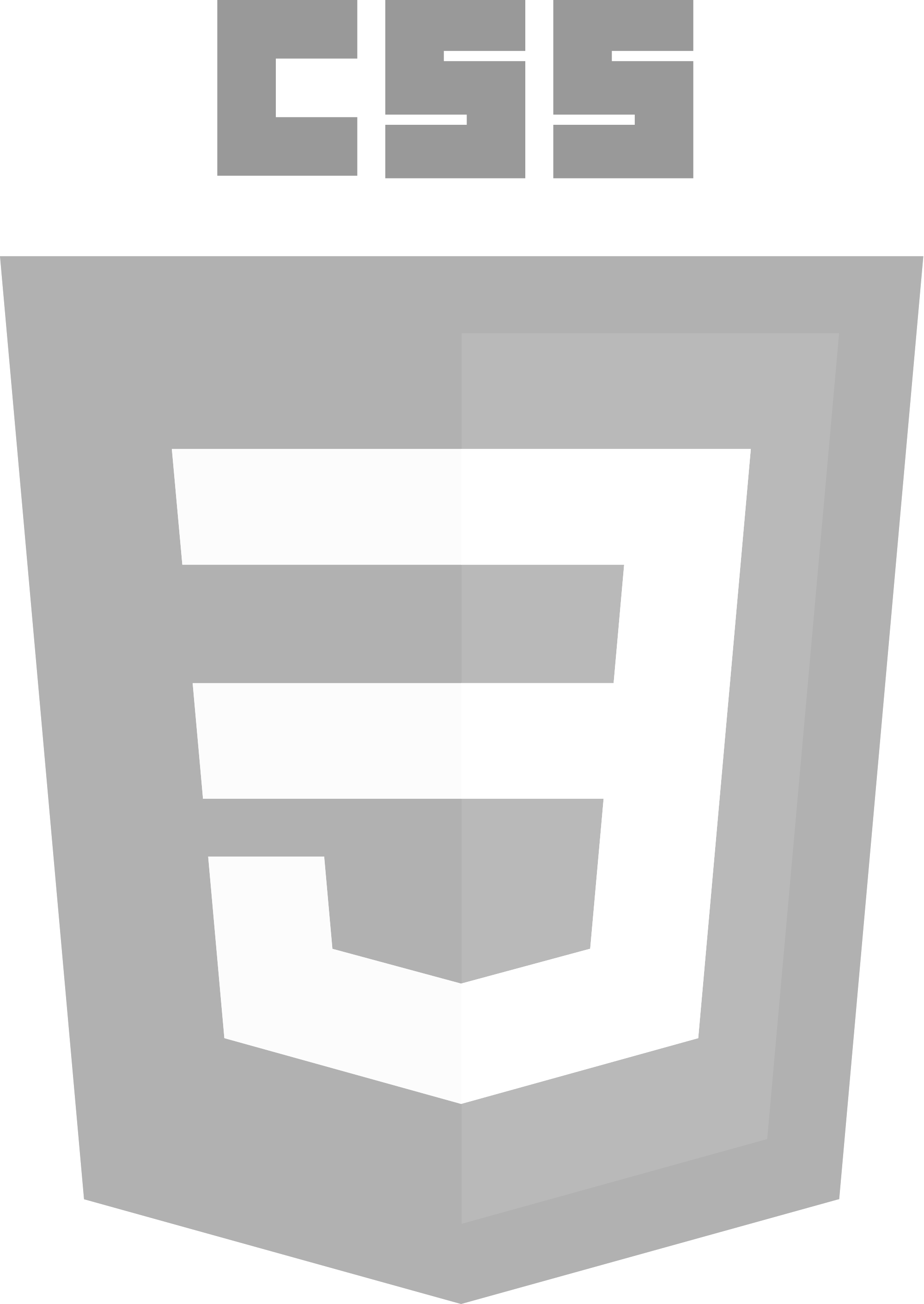 css3